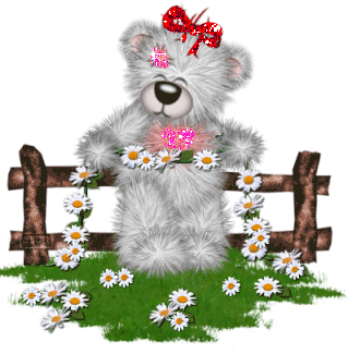nounours